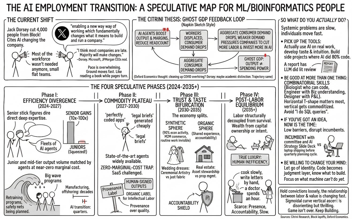 The AI Employment Transition — a speculative map